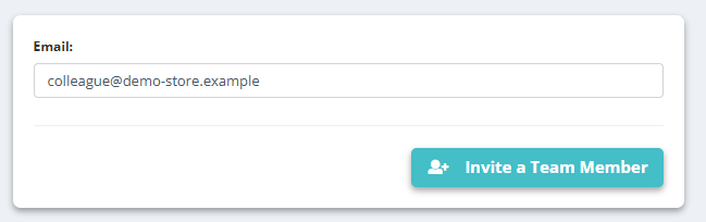 Manage Access: Email colleague@demo-store.example and the button Invite a Team Member