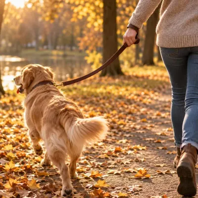 Brown leather leash - Walk - in hand
